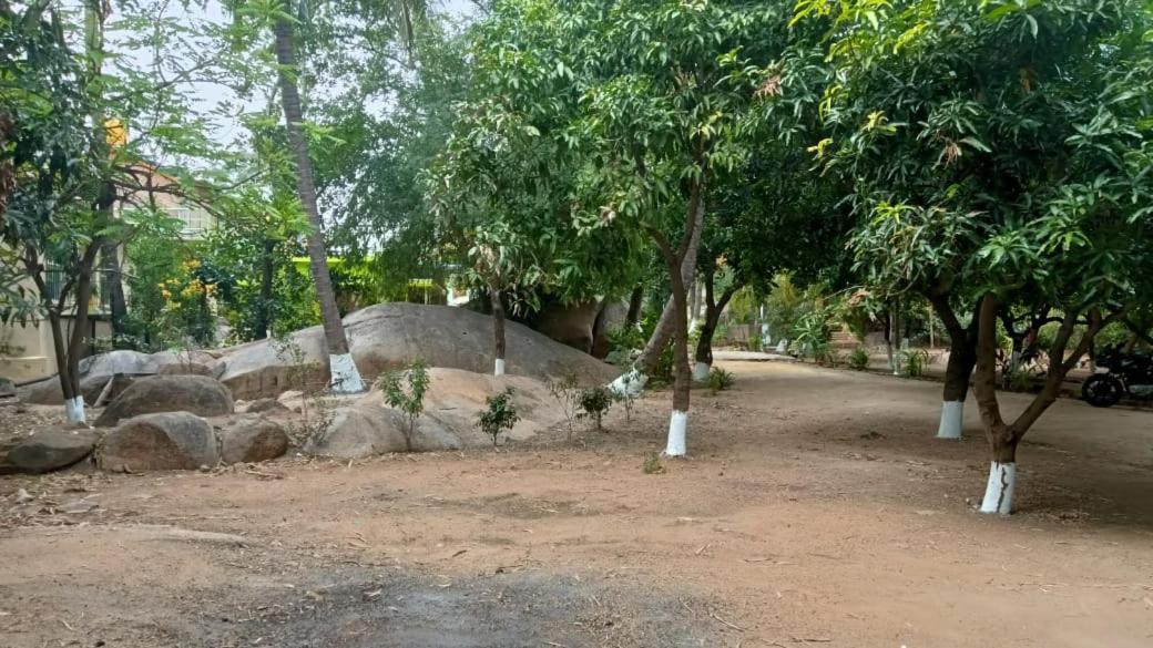 هامبي Shankar Homestay المظهر الخارجي الصورة